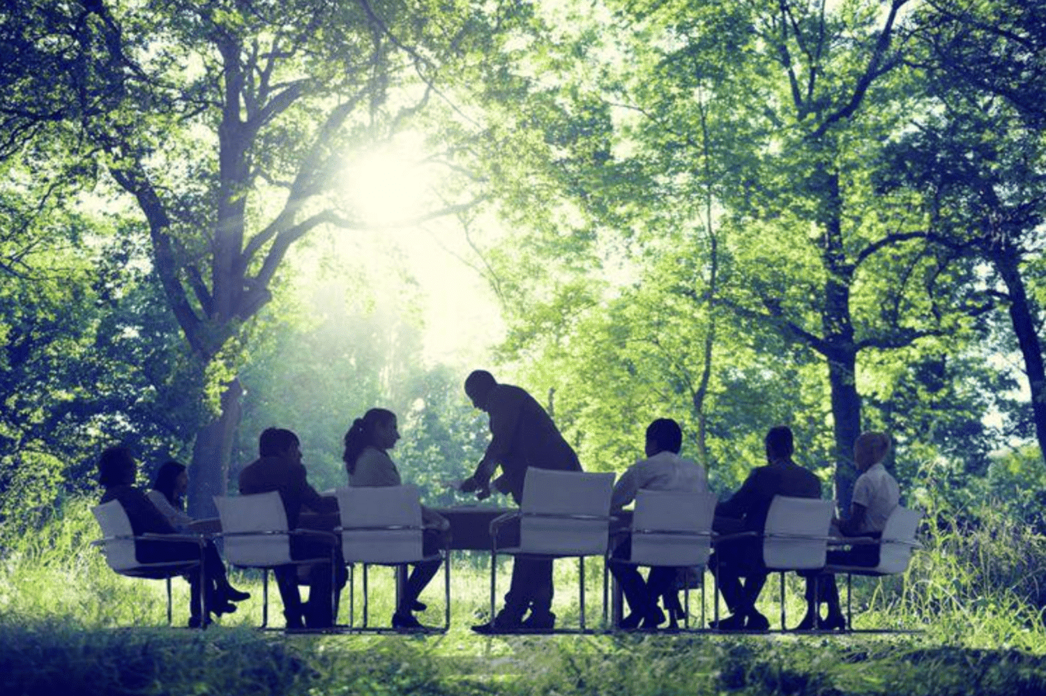 Naturopathie entreprises - Saint-Palais-sur-mer Charente-Maritime - Isabelle Naturo Sérénité